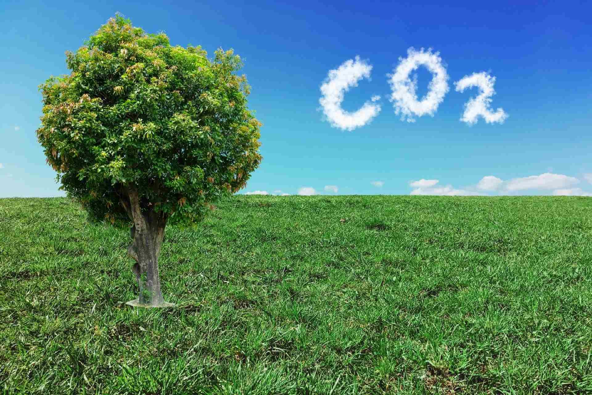 Atualização Sobre Novas Regulamentações de Controle de Emissões (EURO V e VI)